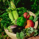 Organic Foods for Gut Health: A Clean Eating Guide to Better Digestion, Healthy Weight Loss, and Lasting Wellness