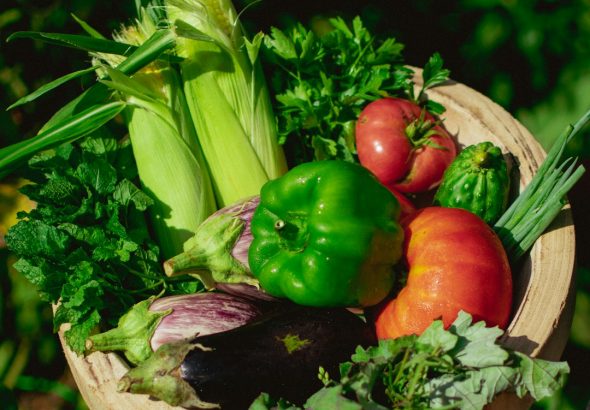Organic Foods for Gut Health: A Clean Eating Guide to Better Digestion, Healthy Weight Loss, and Lasting Wellness