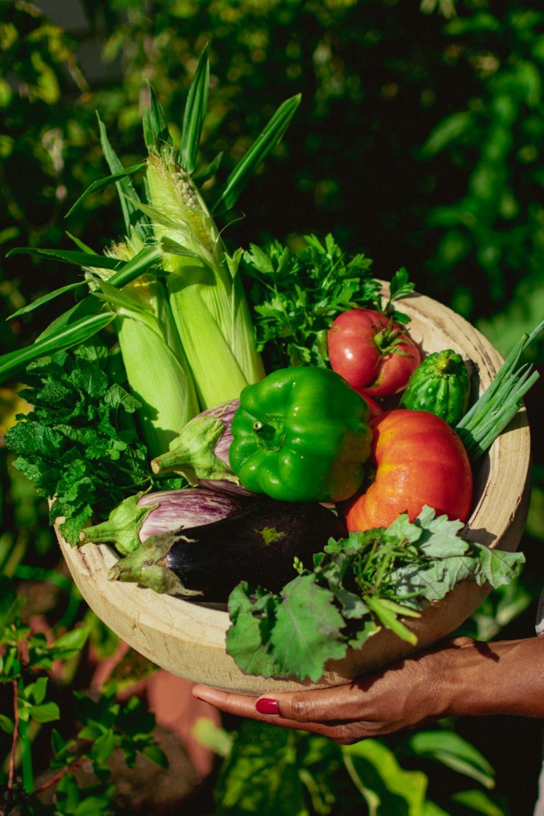 Organic Foods for Gut Health: A Clean Eating Guide to Better Digestion, Healthy Weight Loss, and Lasting Wellness