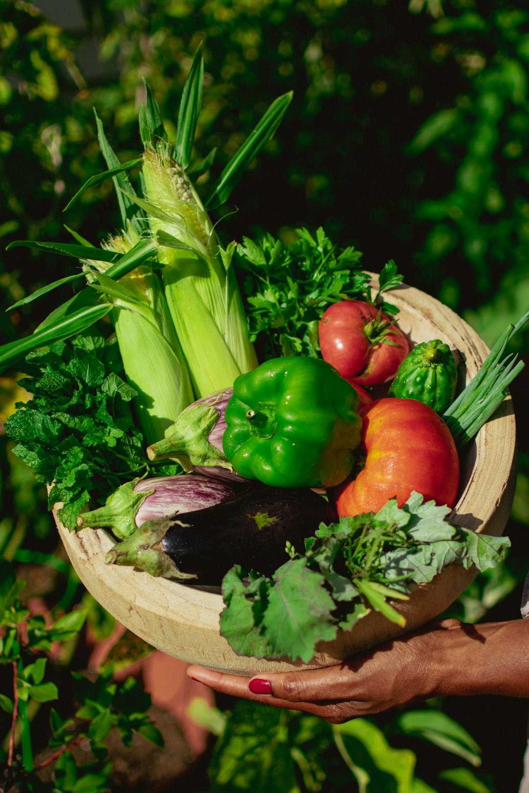 Organic Foods for Gut Health: A Clean Eating Guide to Better Digestion, Healthy Weight Loss, and Lasting Wellness