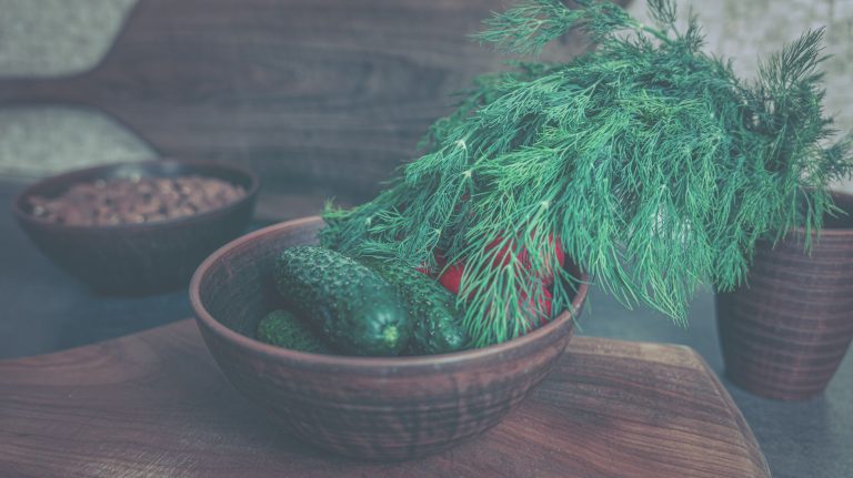 Organic Food for Gut Health: Clean Eating Habits That Support Weight Loss and a Healthier Life