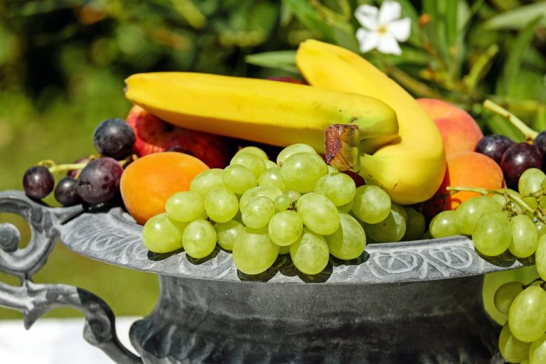 Organic Food for Gut Health: A Clean Eating Guide to Weight Loss and Better Digestion
