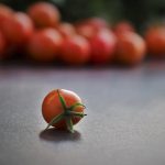 Organic Food for Weight Loss: A Healthy Diet Guide to Clean Eating
