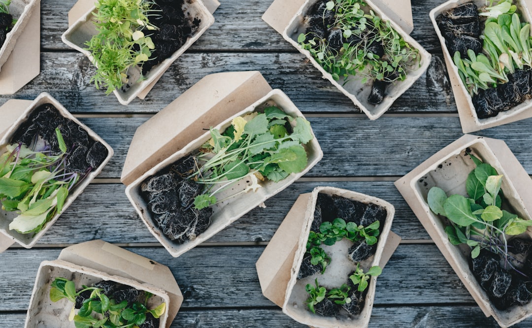 Organic Meal Prep for Weight Loss: Clean Eating Ideas for a Healthy Week