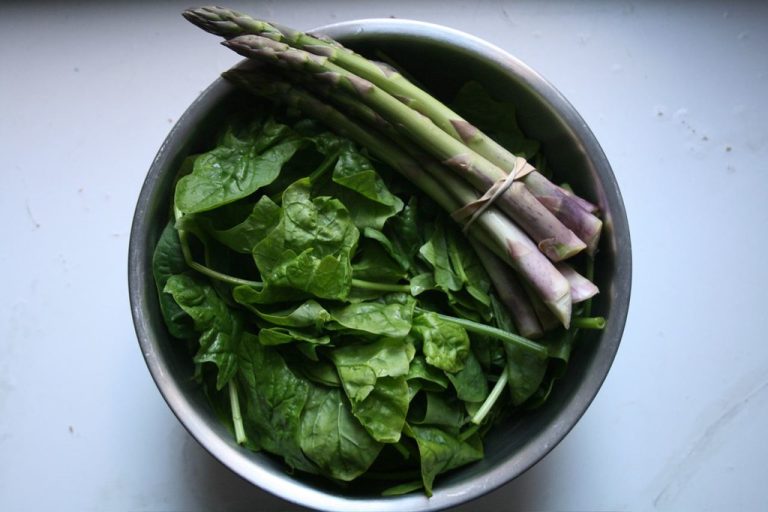 Organic Food for Gut Health: A Clean Eating Guide to Better Digestion, Weight Loss, and Everyday Wellness