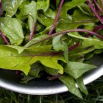 Organic Food for Gut Health: A Clean Eating Guide to Better Digestion and Healthy Weight Loss