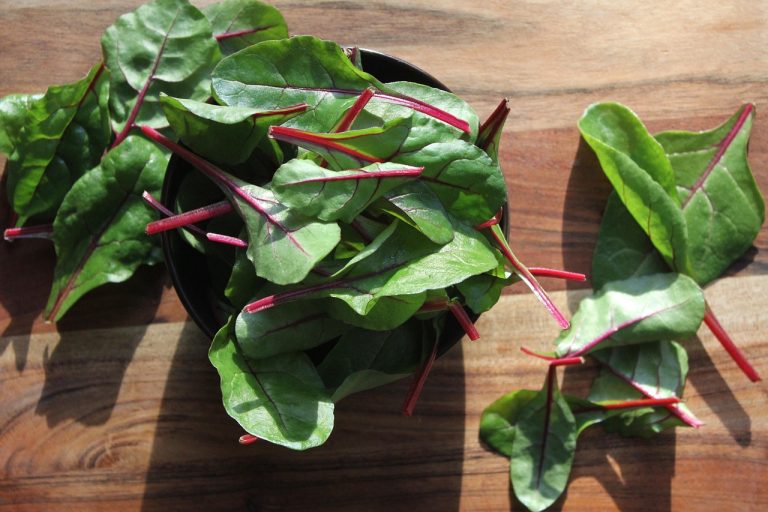 Organic Food for Weight Loss: A Clean Eating Grocery Guide for a Healthy Diet