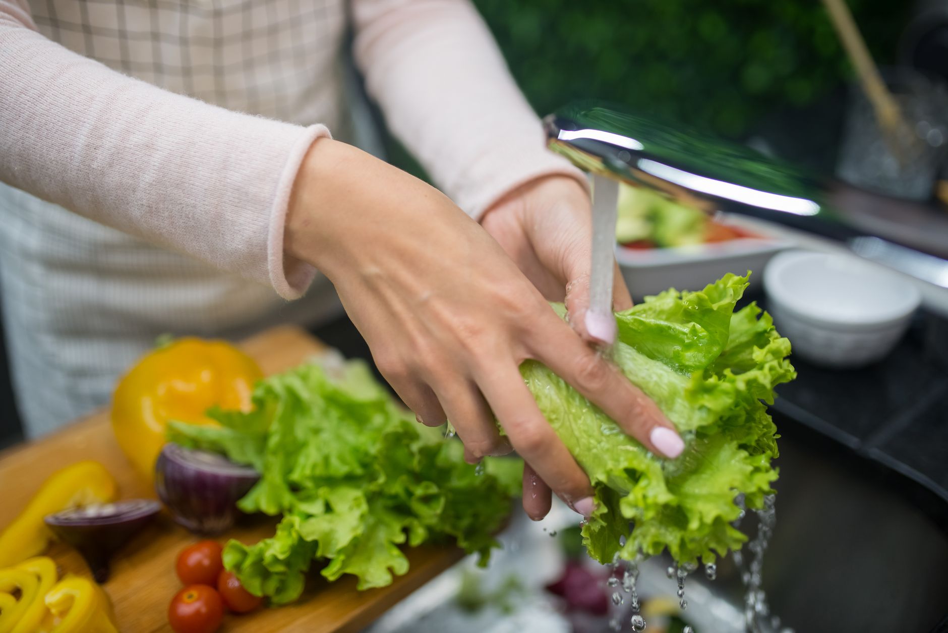 Organic Food for Gut Health: A Clean Eating Healthy Diet That Supports Weight Loss