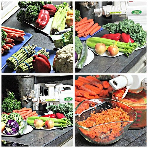 Organic Foods for Gut Health: A Clean Eating Healthy Diet Guide to Weight Loss and Lasting Energy