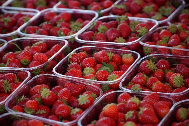 Organic Food Meal Prep Ideas for a Healthy Diet, Weight Loss, and Clean Eating