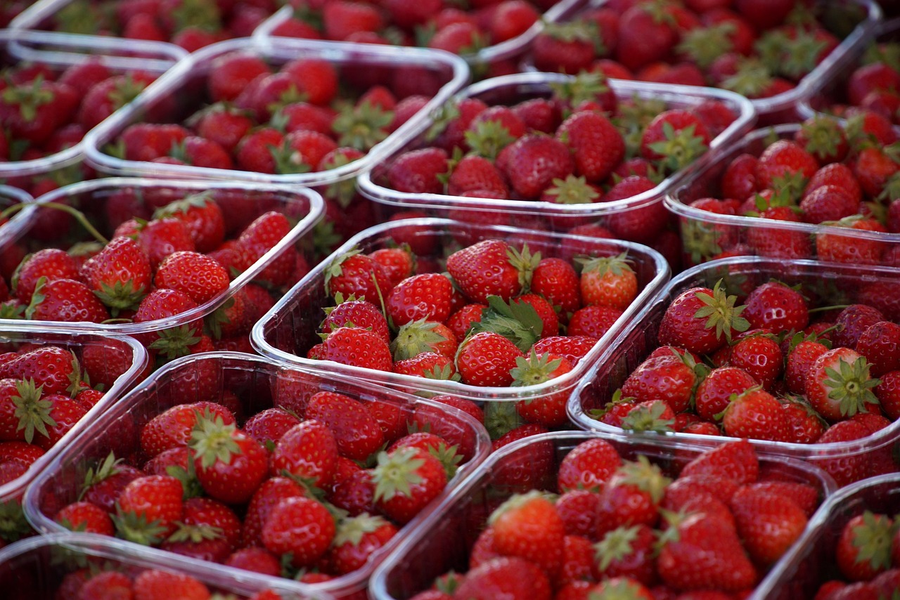 Organic Food Meal Prep Ideas for a Healthy Diet, Weight Loss, and Clean Eating