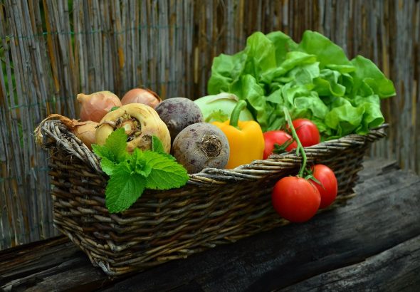 Organic Food and Gut Health: A Clean Eating Guide to Better Digestion and Sustainable Weight Loss