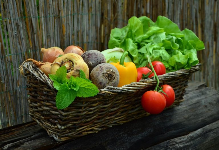 Organic Food and Gut Health: A Clean Eating Guide to Better Digestion and Sustainable Weight Loss