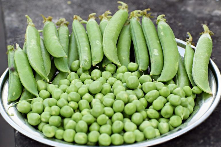 Organic Food for Gut Health: A Clean Eating Healthy Diet for Weight Loss and Better Digestion