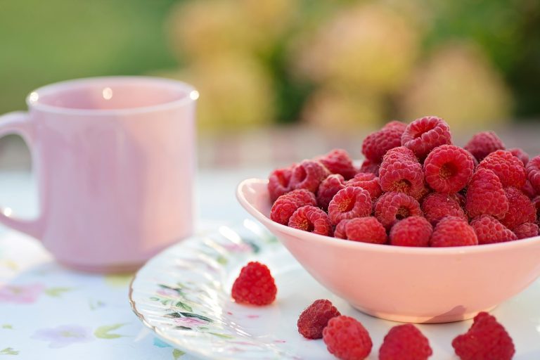 Organic Food for Weight Loss: Clean Eating Choices That Support Energy and Results