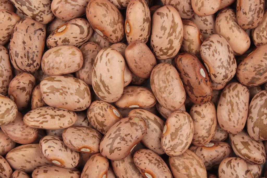 How to Cook Dried Beans on the Stovetop