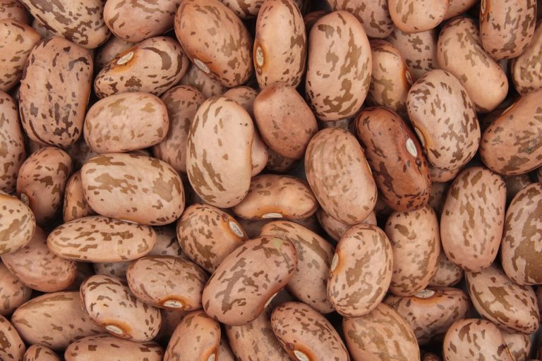 How to Cook Dried Beans on the Stovetop