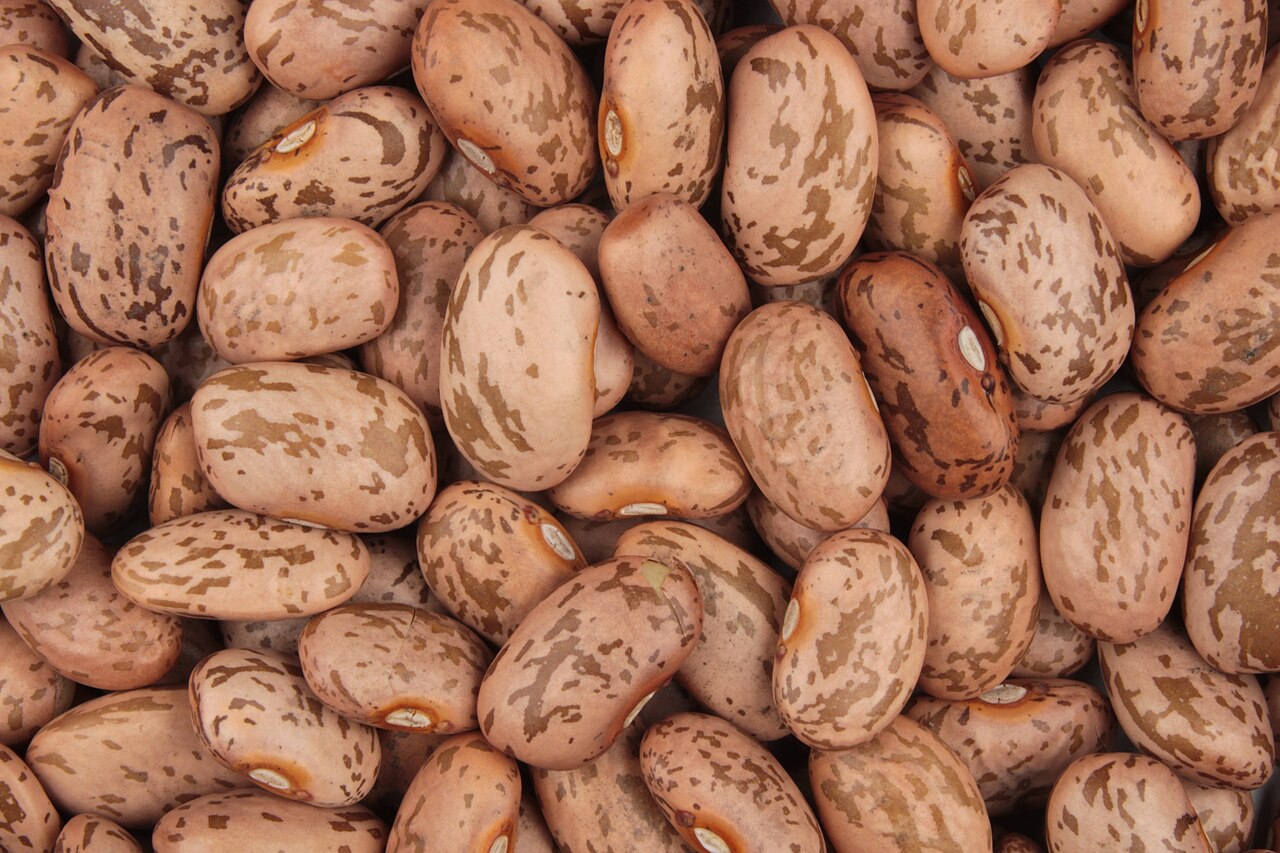 How to Cook Dried Beans on the Stovetop