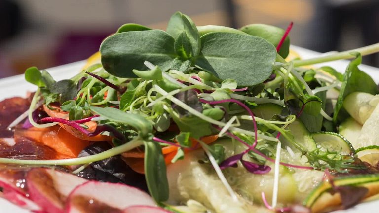 Shaved Carrot, Radish and Zucchini Salad with Plum Vinaigrette